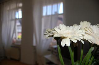 Ferienwohnungen Café Cup - Detmold - 6