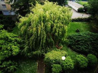 P' TI ECRIN DE VERDURE - Illzach - 3