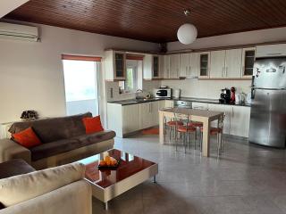 Chris luxury apartment,near Athens Airport! - Artemida - 3