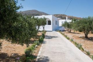 MFP Dryos Paros House Project - Drios - 7