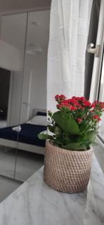 Casa Gimaga - Pozzuoli - 8