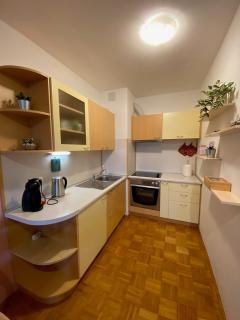 Apartma Felicija - Lubiana - 4