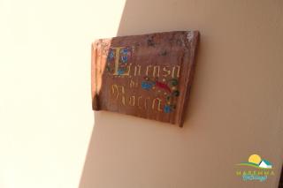 Maremma Holidays- La Casa Di Rocca - Scarlino - 8