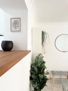 Maison avec extérieur proche saint Guilhem le desert - Saint-André-de-Sangonis - 7