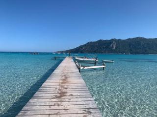 Villa individuelle avec piscine privée et grand jardin proche plage Santa Giulia - Porto-Vecchio - 5
