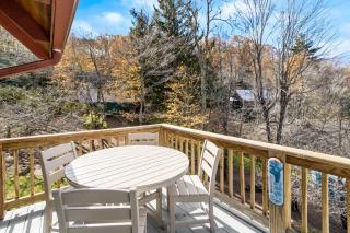The Cozy Cub - Blowing Rock - 4