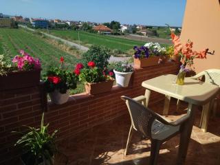 The Garden Guest House - Divjakë - 9