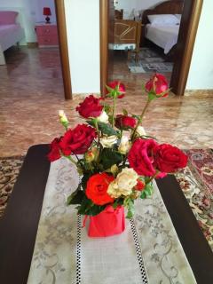 The Garden Guest House - Divjakë - 8