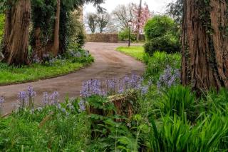 Maryfields Farmhouse - Castlemaine - 7