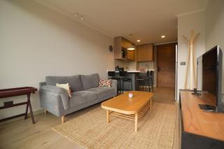 Departamento Origen Pucon - 9