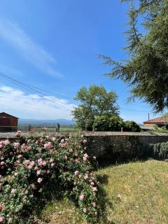Casa con finca en Pol, Monforte de Lemos - Monforte de Lemos - 2