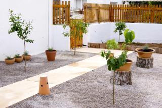 Apartamentos Sureda - 6