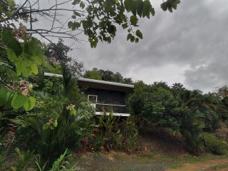 Cabinas fave - Uvita - 7