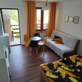Niezapominajki-domki i pokoje nad brzegiem jeziora - Giżycko - 8