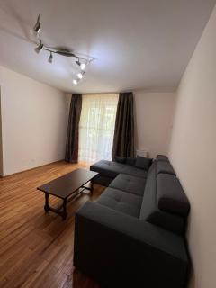 Apartamentul Oaspetilor - 5