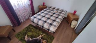 Kyrios Lounge restful studio with private pool and car available - Carrascal - 3