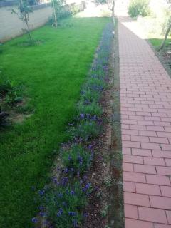 casa vacanze Lavanda - San Vincenzo - 9