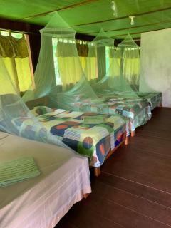 Ayahuasca Eco Tours - Iquitos - 4