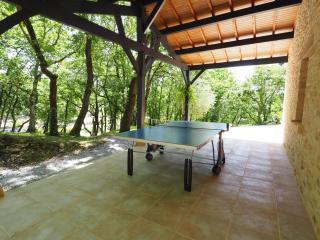 Magnifique Villa de prestige, piscine chauffée - 1