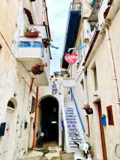 Il Riccio Apartment 28 - Procida - 0
