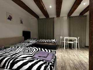 Nice studio in Pankow - Berlin - 2