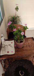 Love & Peace Apartment - Jabalpur - 5