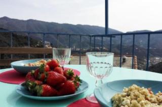 The Cinque Terre nest, with terrace and view - Montale - 5