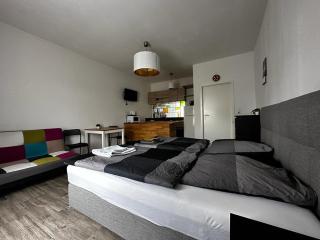Nice and comfortable studio in Pankow - Berlino - 8