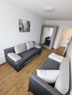 Lovely 2-bedroom flat in the heart of Druskininkai - 4