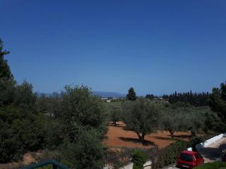 Villa - Farmhouse - Oropos - 8