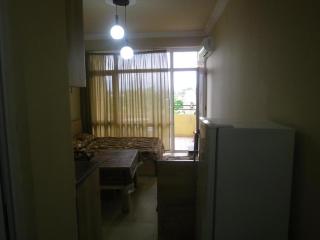 Apartment at Agmashenebeli 554 - Kobuleti - 8