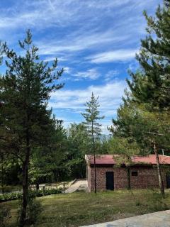 Redpine Guesthouse - 4