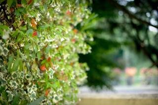 Terme Preistoriche Resort & Spa - 5