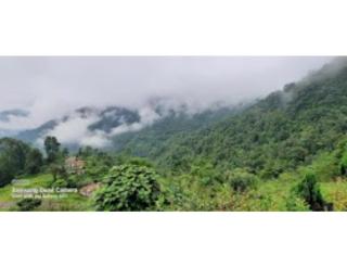 Hill Home Stay, Mankhim Road, Aritar, Sikkim - Aritar - 6