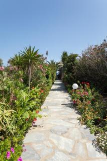 Agrari Ninemia Mykonos - Agrari - 7