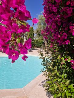 Hôtel La Villa Cap d’Antibes - Juan-les-Pins - 9