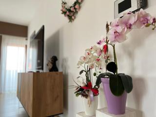 Apartment HUMAC, Ljubuški - Ljubuški - 8