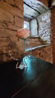 Gîtes la Molière Haute - 6