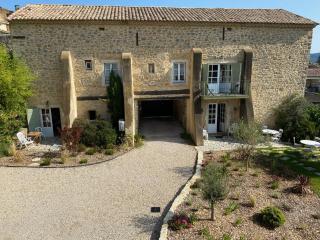 Le mas d'Orsan - Orsan - 9