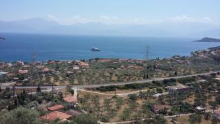 Margherita's holidays home - Agios Spiridon Fokidas - 3