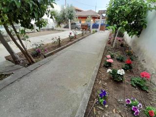 Lemon tree apartment - Néoi Epivátai - 3
