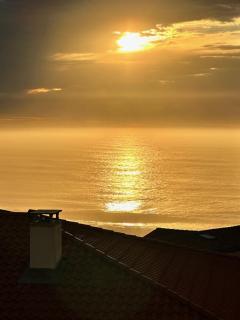 Vue de l'Océan à la forêt, la plage à vos pieds - Soorts-Hossegor - 9