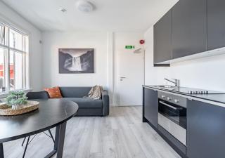 Ingolfsstræti Apartments by Heimaleiga - 4