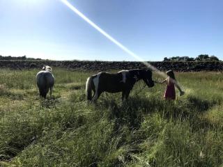 Gîte à la campagne au bord d'un Lac 8 personnes - Saint-Quentin-sur-Charente - 3