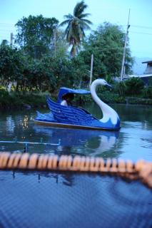 บ้านสวนตาฤทธิ์อำเภอปัว - 5