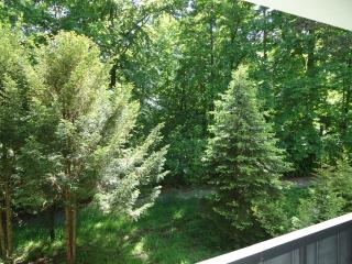 Apartament 220 na Park Leśny - Polanica-Zdrój - 7