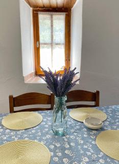 House 1907 - Nikiti - 7