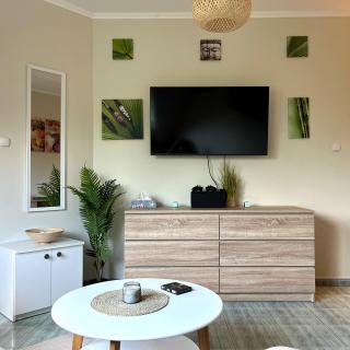 Móló Beach Lelle Apartman - 9