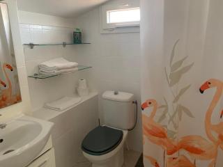 maison en Camargue - Saintes-Maries-de-la-Mer - 1