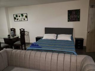 Studio 202 in aztorga poblado - Medellín - 6